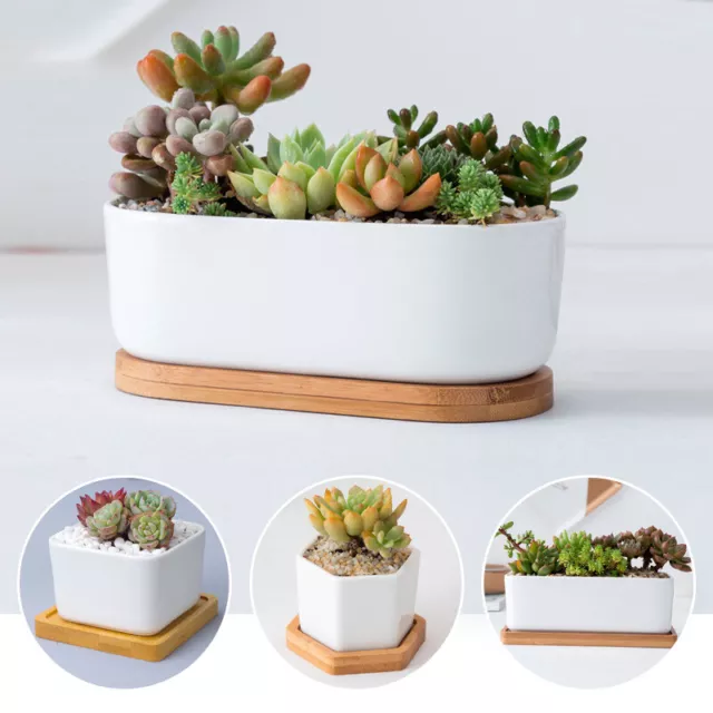 Small Ceramic Pottery Flower Pots Handmade Plant Succulent Cactus Bamboo Tray