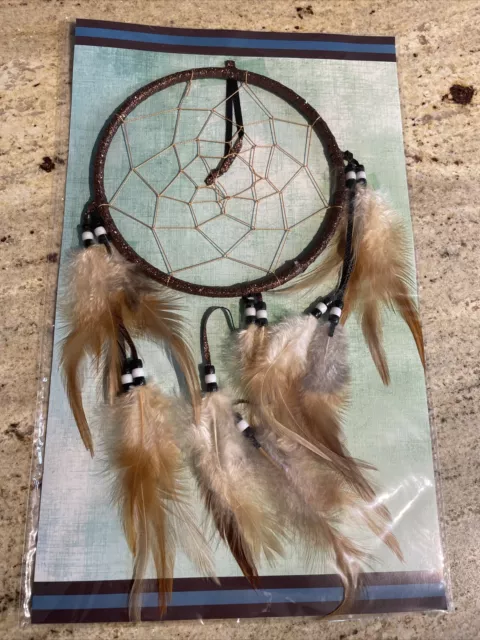 New Legend Of The Dreamcatcher St. Joseph's Indian School Lakota Sioux 5"