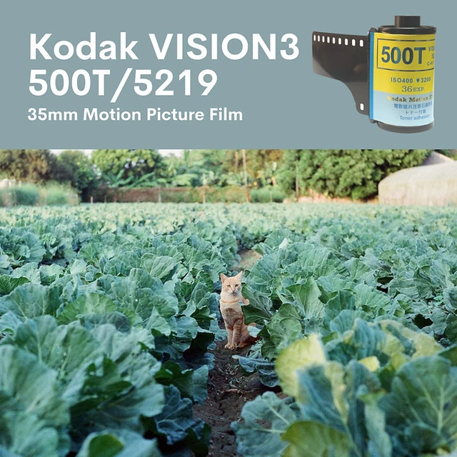 Rouleau De Test Film 35mm Négatif Kodak Vision3 1.85:1 - Téléciné Colorist