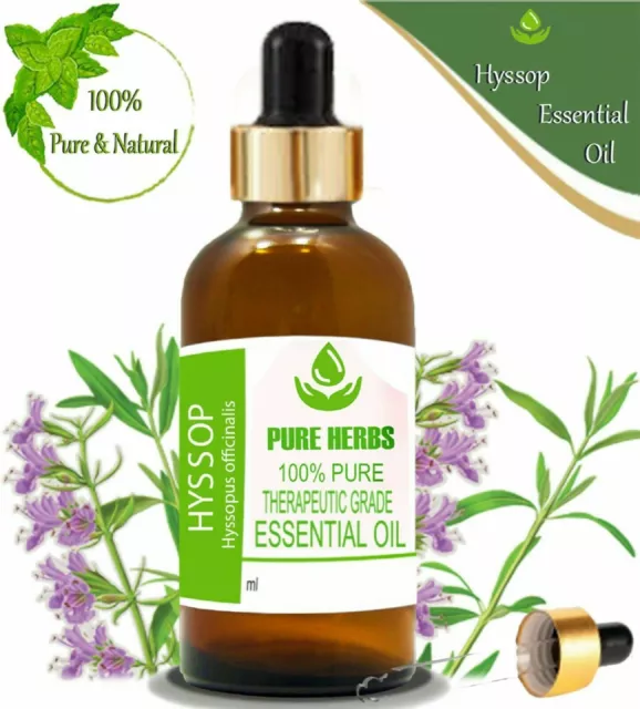 Pure Herbs Hysope 100% Naturel Hyssopus officinalis Essential Oil