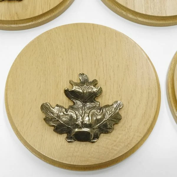 10 Pieza Placa de Jabalí Redondo Roble Claro AF17cm Con 10 X Hoja Portada Grande 3