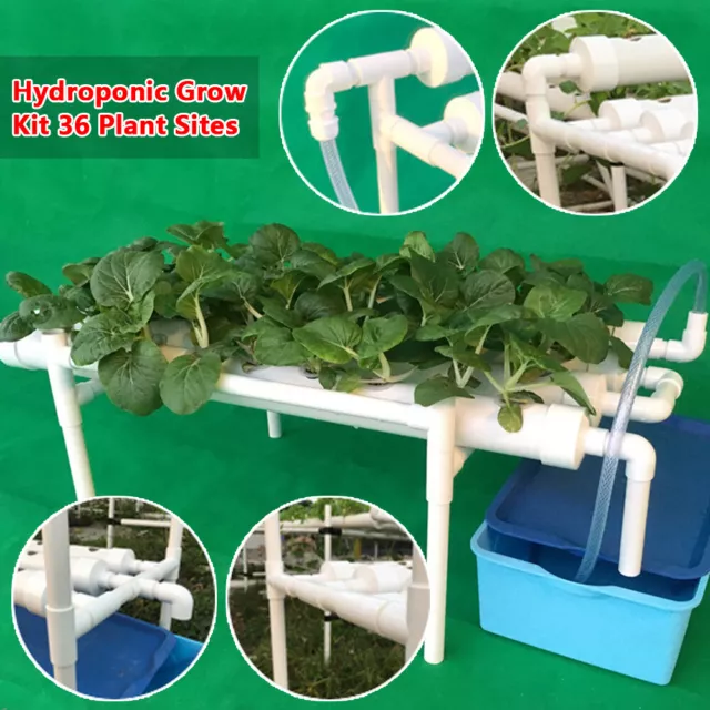 36 Holes Hydroponic Grow Kit Garten Hydrokultur System mit Wasserpumpe DHL 3