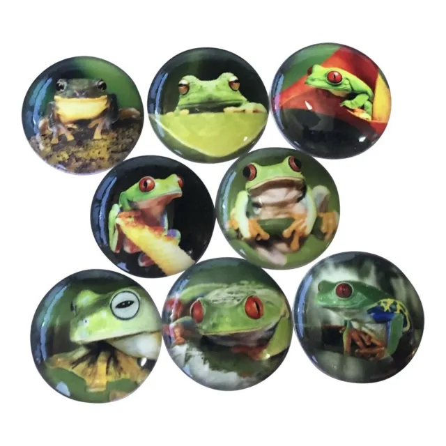 Set of 8 Frogs in Nature Print Wood Cabinet Knobs Drawer Pulls, Reptiles,