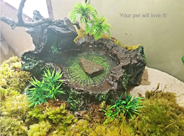 Reptile Platform Tree Trunk Reptile Tank Decor Food Water Dish Bowl for Reptiles