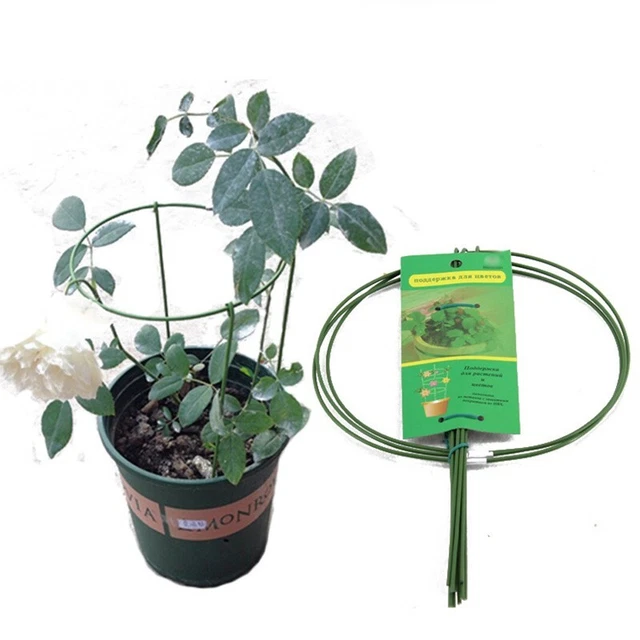 Traliccio Pieghevole Per Cetrioli Ad Aia – 122 X 86 Cm, Struttura A Telaio, Ideale Per Orto E Giardino