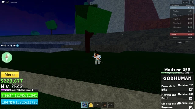 compte roblox blox fruit level 330 île magma beaucoup de habit etc