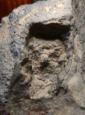 Prehistoric Paleo-American rock art sculpture, multi tool, fossilized egg.