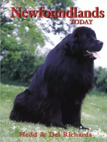 Newfoundlands Today (Book of the Breed S) - Hardcover By Hedd Richards - GOOD