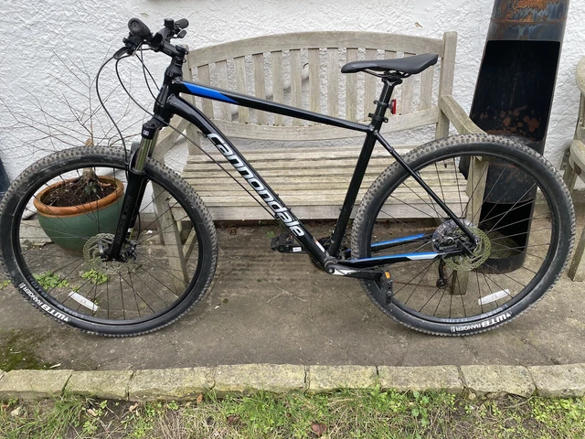 Cannondale trail 7 2025 2019