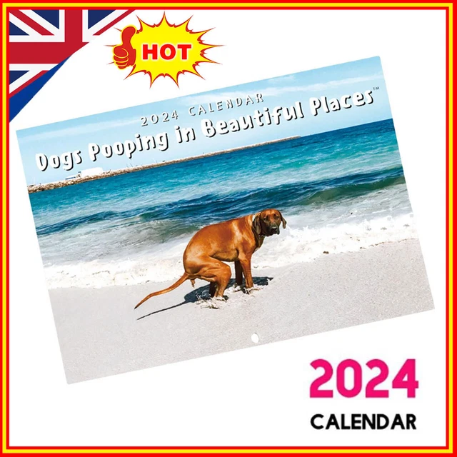 2024 CALENDAR FUNNY Dogs Pooping in Beautiful Places Wall Calend