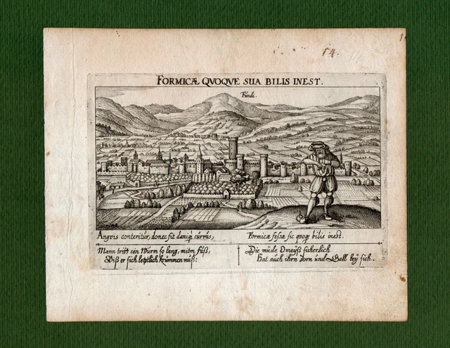 ST-IT FONDI Latina 1630~ FUNDI Daniel Meisner FORMICAE QUOQUE SUA BILIS INEST