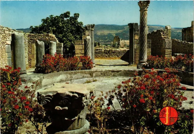 CPM AK MAROC VOLUBILIS Roman Remains (342769)
