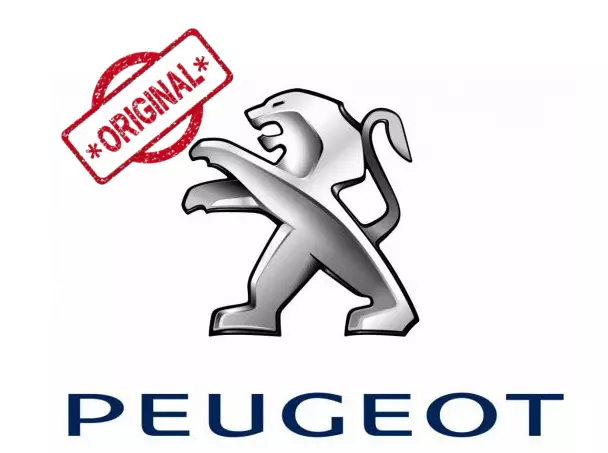 spazzole tergicristallo 1613159480 originale Peugeot Boxer 3