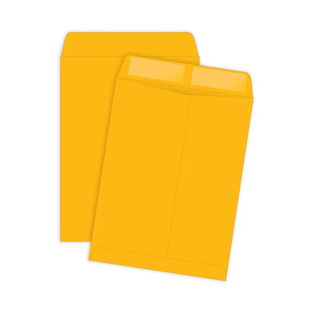 Catalog Envelope, Plain, 28Lb, 6"x9", 500/BX, Kraft