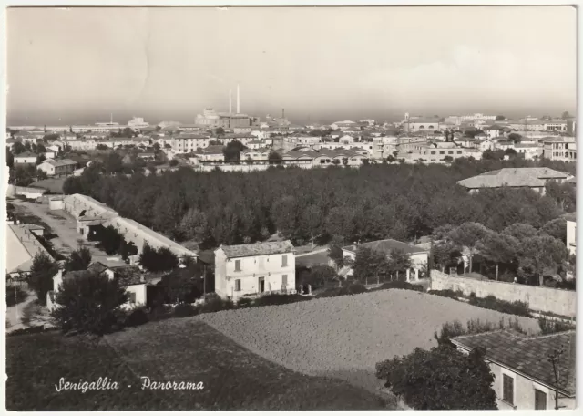 Senigallia - Ancona - Panorama - Viagg. 1954 -11703-