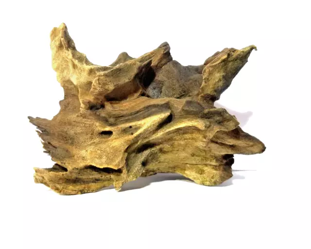 Organic Air Plant Holder Timber Bark 100% Home Deco aquarium fish tank Bogwoods