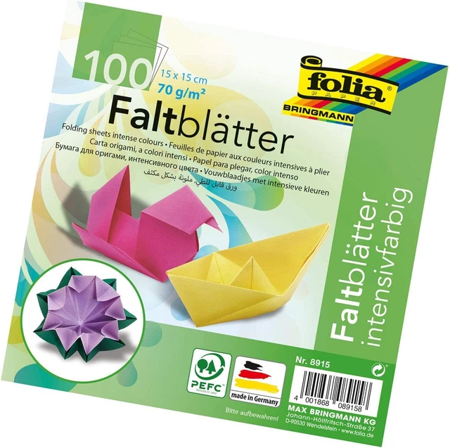 Folia 8915 Folios 15x15cm 70g/m2 100 Hojas Clasificadas en 10 Colores Intensos