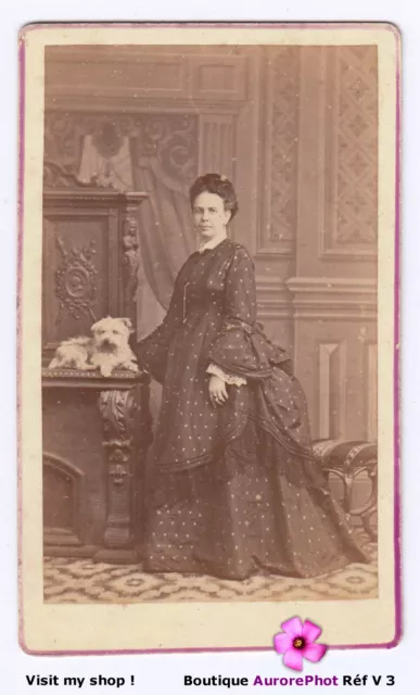Mexico, Guadalajara, Woman Posing With Her Little Chien, Dog, Cdv Photo -V3