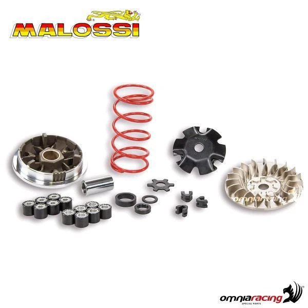 VARIATORE MALOSSI MULTIVAR 2000 Honda Navi 110 4T 2022 2023 2024 5119670 EUR 101,20 - IT - Foto 10