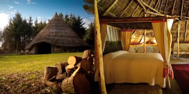 Canopy & Stars £135 Voucher Holiday / Nature / Off Grid /Tree House stay 2024