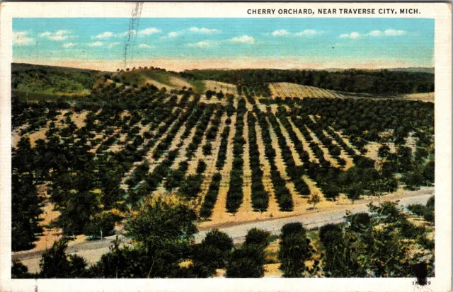 Traverse City MI- Michigan, Cherry Orchard, Aerial View, Vintage Postcard
