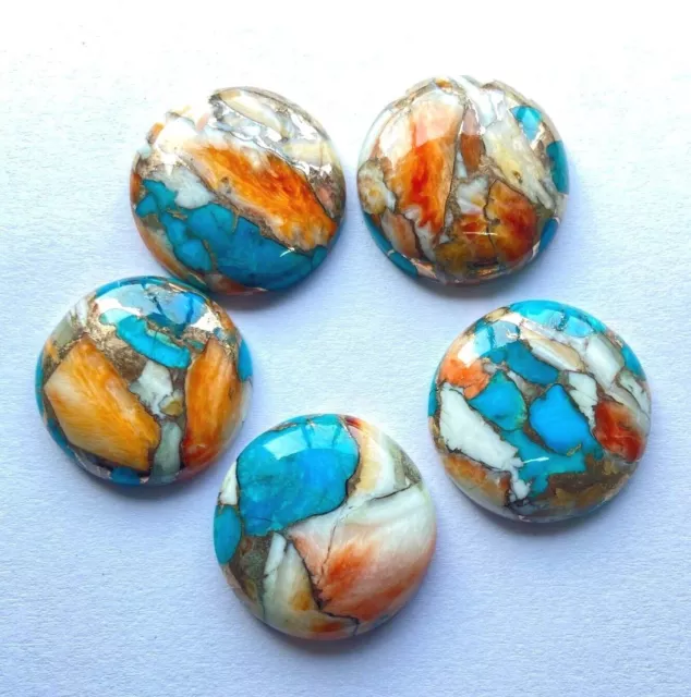 [Wholesale] Spiny Oyster Copper Turquoise Cabochon Round Shape Loose Gemstone