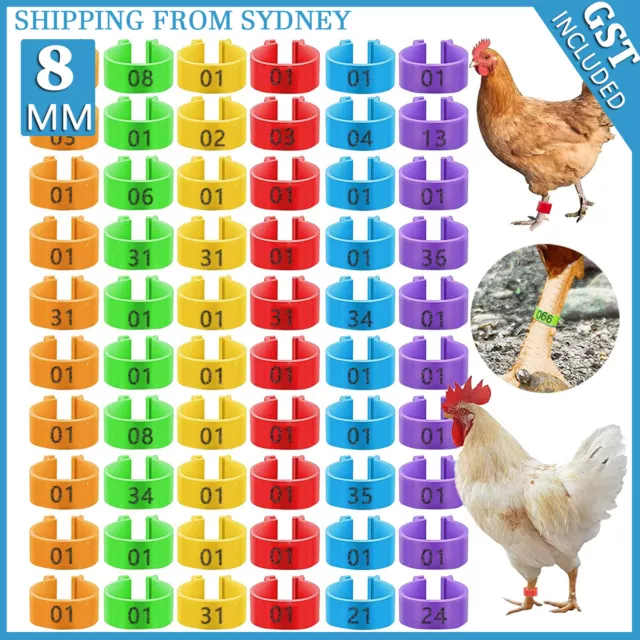 30-150X 8mm 001-100 Numbered Pet Poultry Goose Chicken Duck Leg Band Rings Clips