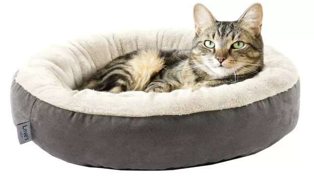 Round Donut Cat and Dog Cushion Bed, 20in Pet Bed for Cats or Small Dogs