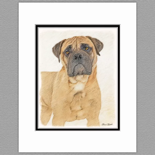 Cane Corso Mastiff Dog Original Art Print 8x10 Matted to 11x14