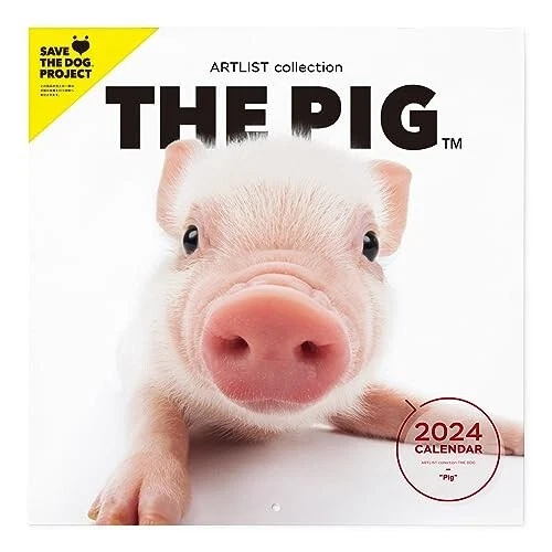 WALL CALENDAR 2024 Japan The Pig Large Size 290 × 290 mm 28page 43.99