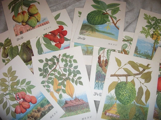 P & O Line. 11 Original Menu Cards From 1961. The S.s. Arcadia. "Exotic Fruits"