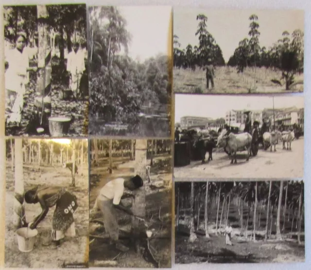 1937 Singapore Postcards RP - Tapping Rubber, Botanical Garden, Coconut Estate