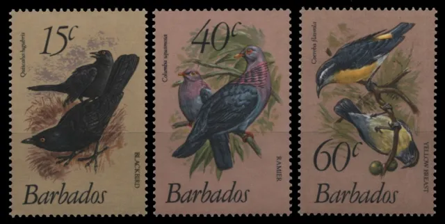 Barbados 1982 - Mi-Nr. 551-553 ** - MNH - Vögel / Birds