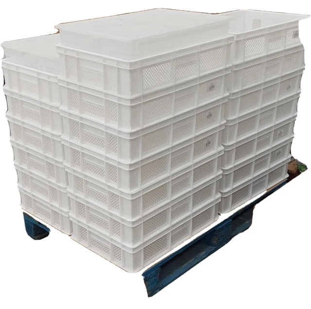 Cassette Bianche Forate Per Alimenti N.1 Dim. 60x40x13cm