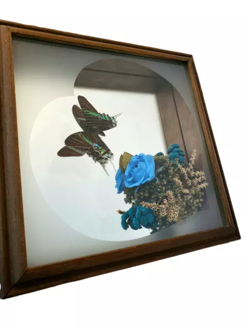 Vintage Flowers Real Butterfly Shadowbox Framed Art Blue Flowers Wall Decor