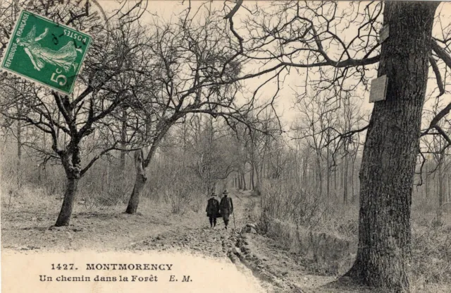*10095 cpa 95 Montmorency - un chemin dans la Forêt