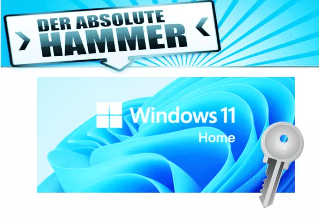 Windows 11 HOME  / LIZENZ KEY Microsoft Key Microsoft Versand in Sekunden
