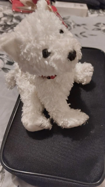 Ty Beanie Babie Dundee