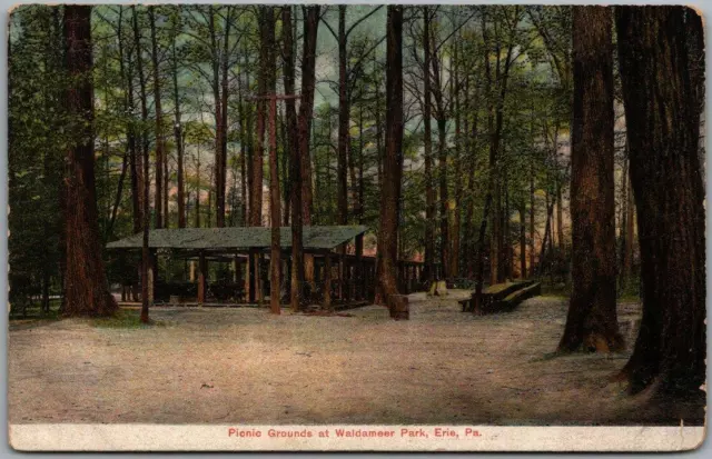 Vintage ERIE, Pennsylvania Postcard "Picnic Grounds at Waldameer Park" c1910s