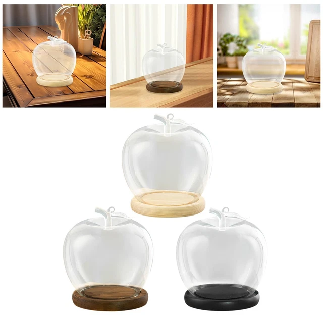Ustensile Cuisine Cloche En Verre Transparent 13X18Cm Transparent De Madam Stoltz