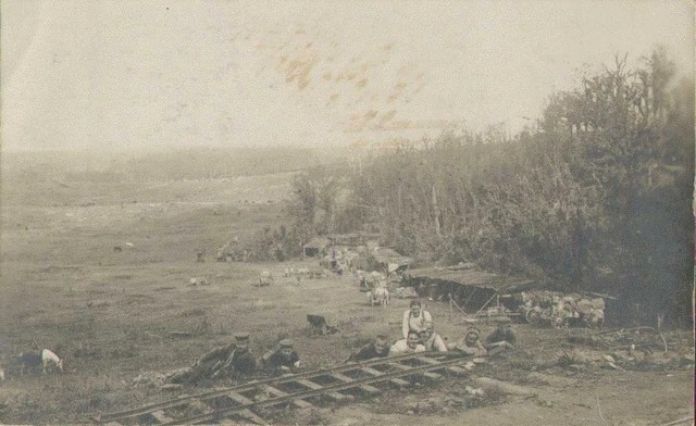 Soldaten-Portrait, Infanterie-Regiment 252, Foto-Feldpostkarte Nachrichtenzug