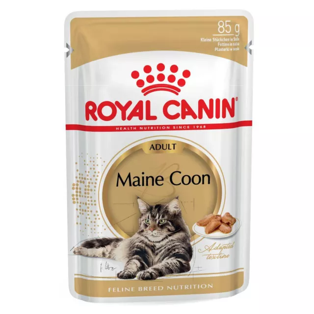 Royal Canin Race Maine Coon Adulte 85 G, Nourriture pour Chat, Neuf