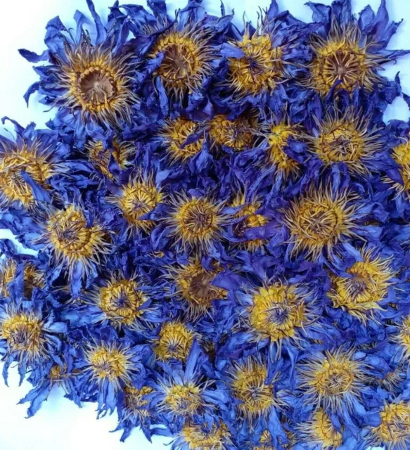 Blue Lotus Flowers Nymphaea Caerulea Dried Herbal Flower Ceylon Organic Tea
