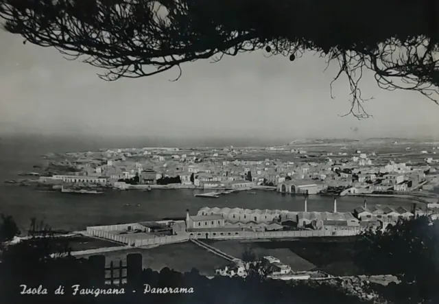 ISOLA DI FAVIGNANA ( TRAPANI) Panorama  , vg 1958 f.g.  Bella