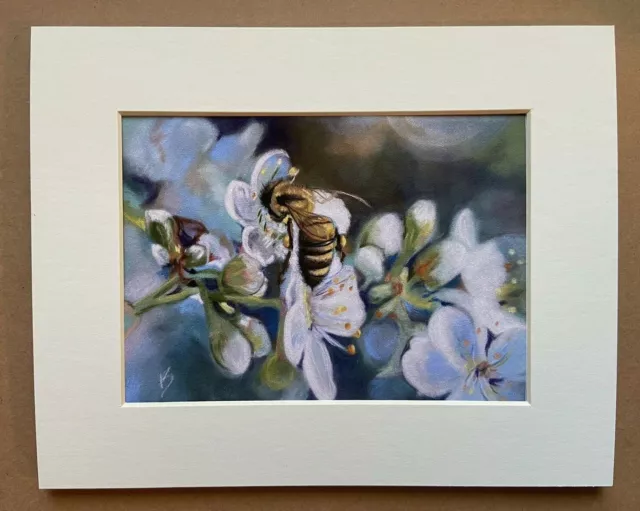 Fine Art Honey Bee in Cherry Blossoms 5x7 Pastel Matted to 8x10 Giclee By Artist 2