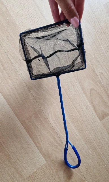 Kinder Entdecker Outdoor Kecher Spielzeug Strand Sand Muschel klein stabil blau