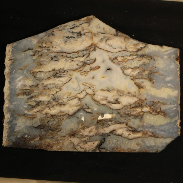 Graveyard Point Plume Agate Lapidary Rock Slab #4749