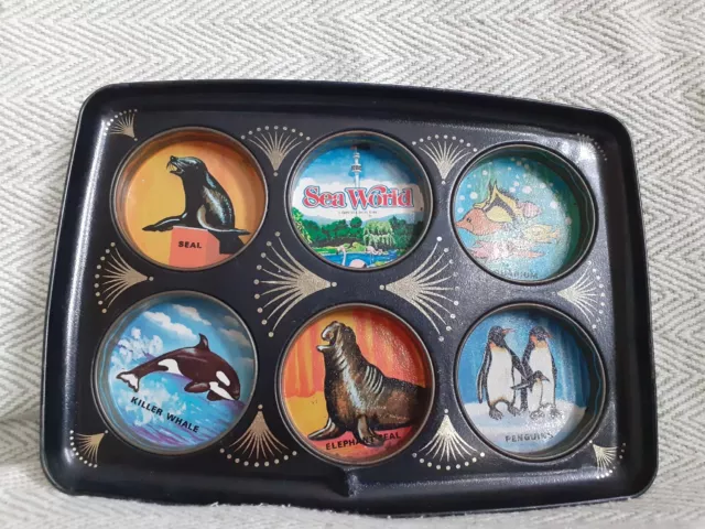 Seaworld Drinks Tray