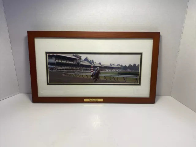 Saratoga Horse Race Track 16x9.5 Picture With Horse And Jockey With Frame