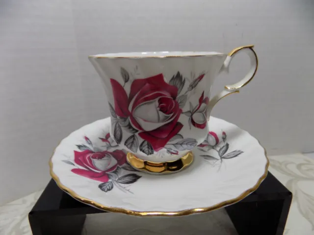 Queen Anne, Cup & Saucer, Red & White Roses, Black Leaves, England